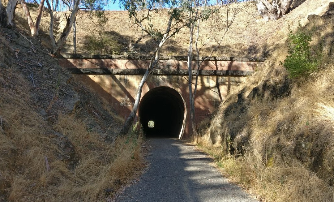 Cheviot Tunnel景点图片