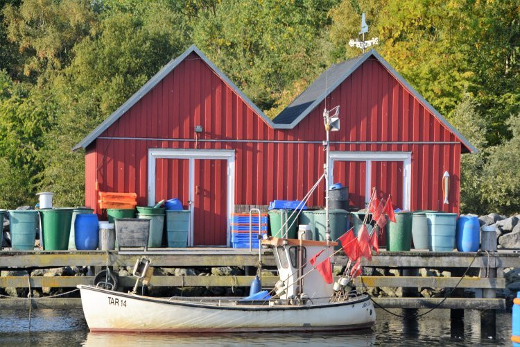 Fischereihafen Boltenhagen景点图片