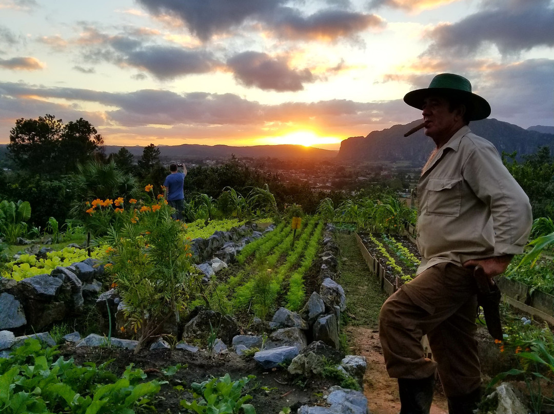 Vinales Valley Heart-维纳勒斯必去景点