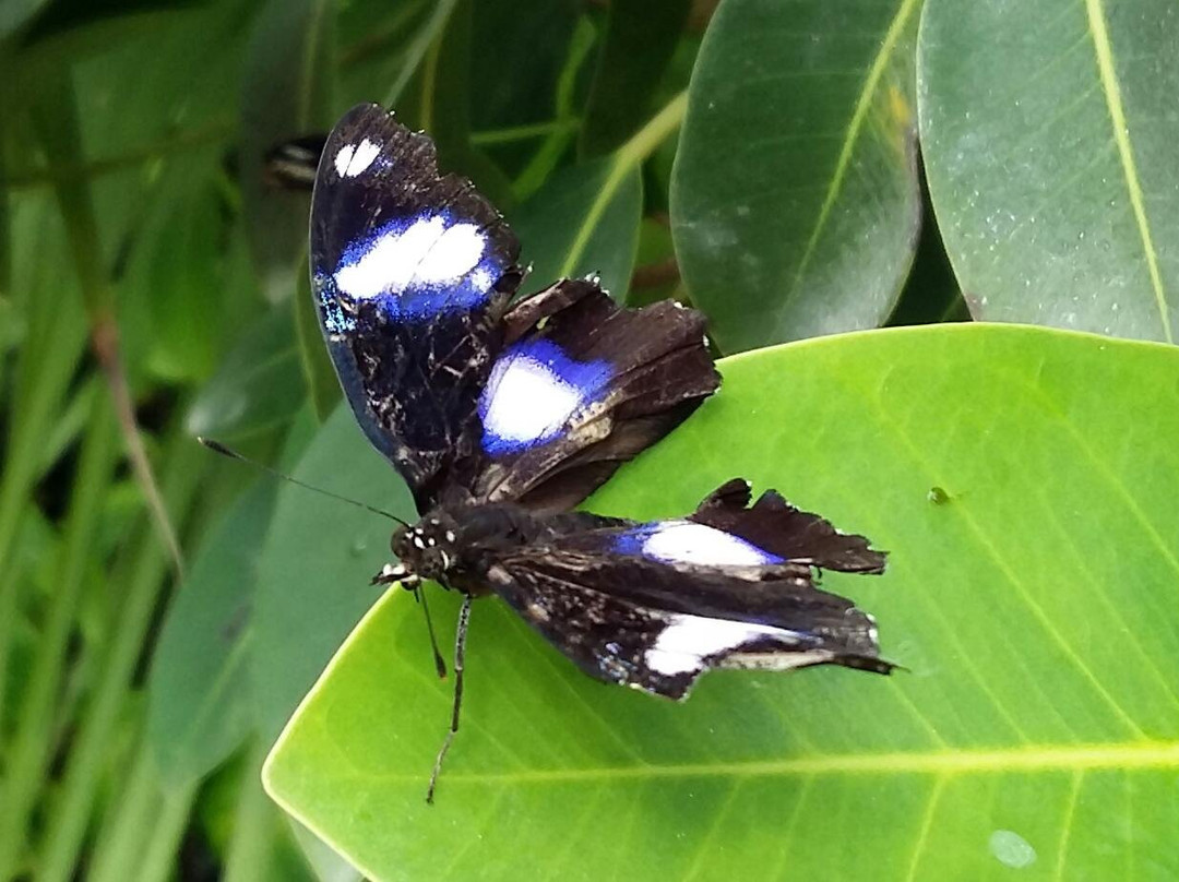 La Casa delle Farfalle-Ragusa CIty必去景点