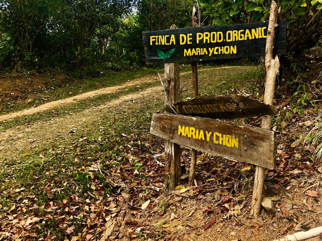 Chon y María Organic Farm景点图片