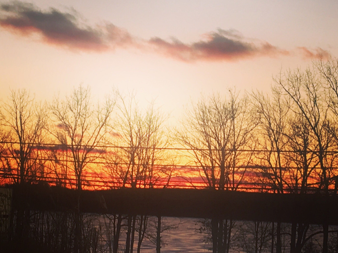 Greshams Lake View Motel主图