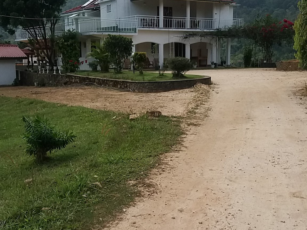 Morning Mist Guesthouse主图