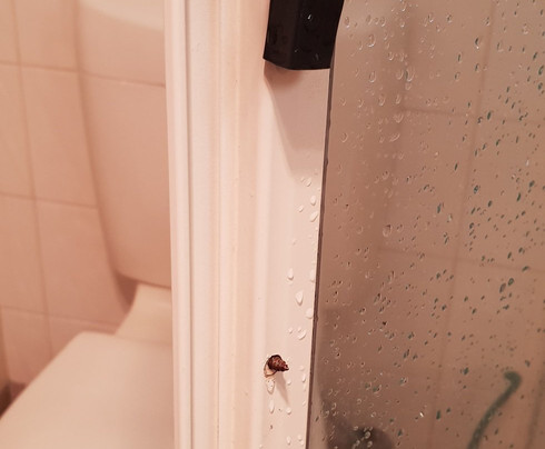 Chestnut Tree Holiday Apartments主图