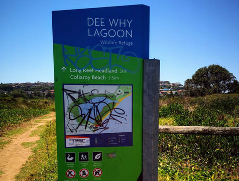 Dee Why Lagoon-德威必去景点