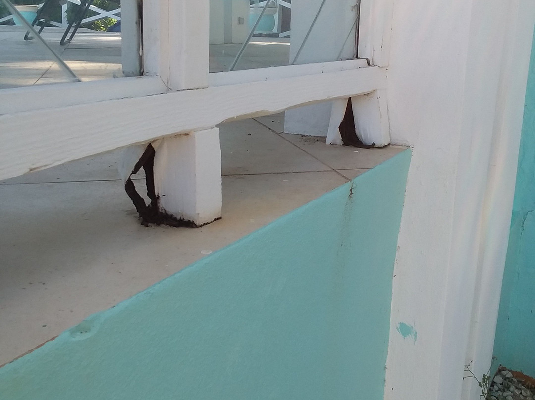 Bungalows on the Bay主图