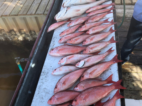 Blue Water Charters-橙色海湾必去景点