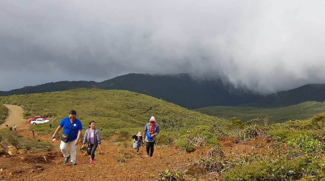 Mount Redondo Natural Bonsai Forest-Loreto必去景点