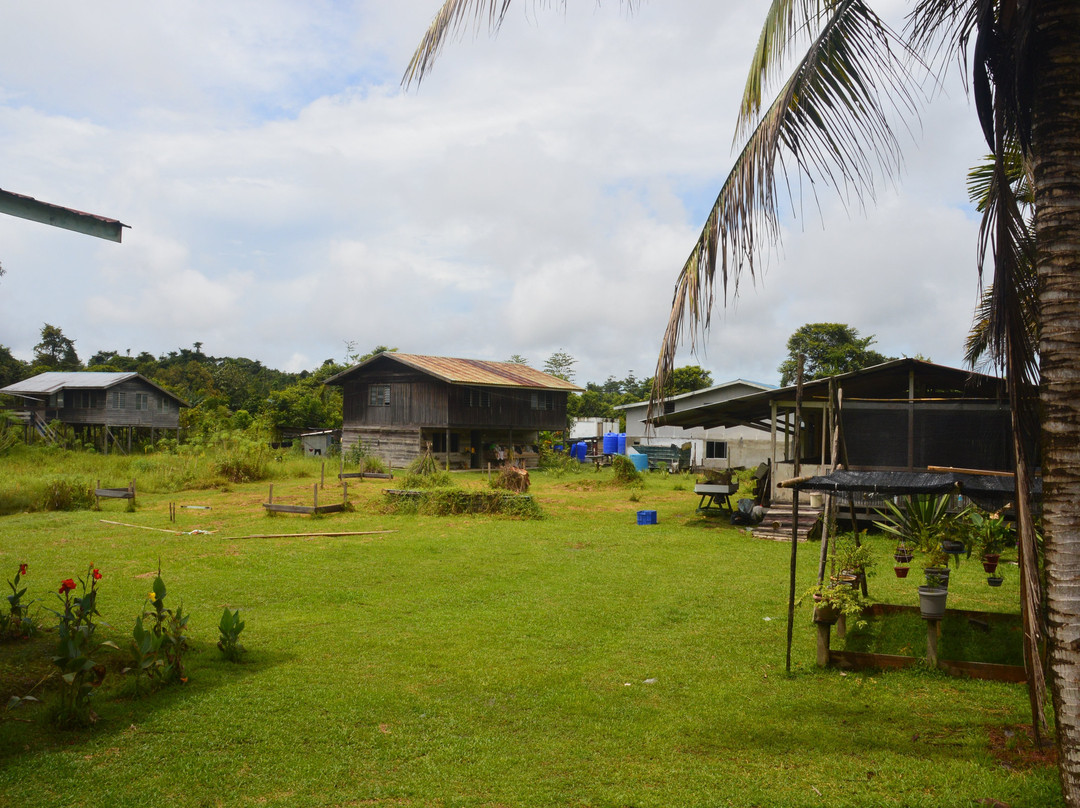 Mulu Tribal Homestay主图