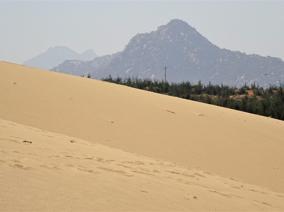 Nam Cuong Sand Dunes景点图片