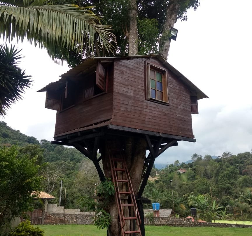 La Casa del Arbol主图