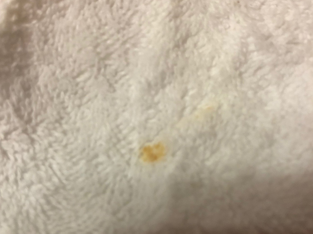 Grand Times Hotel - Quebec City Airport主图