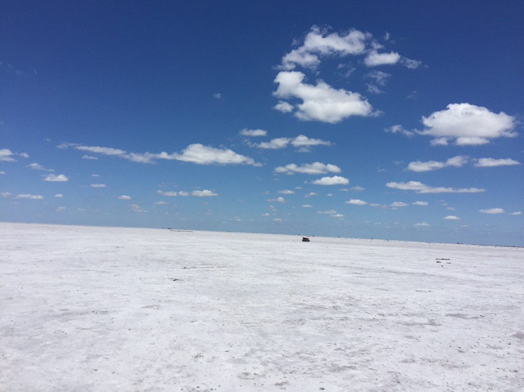 Salinas Grandes景点图片