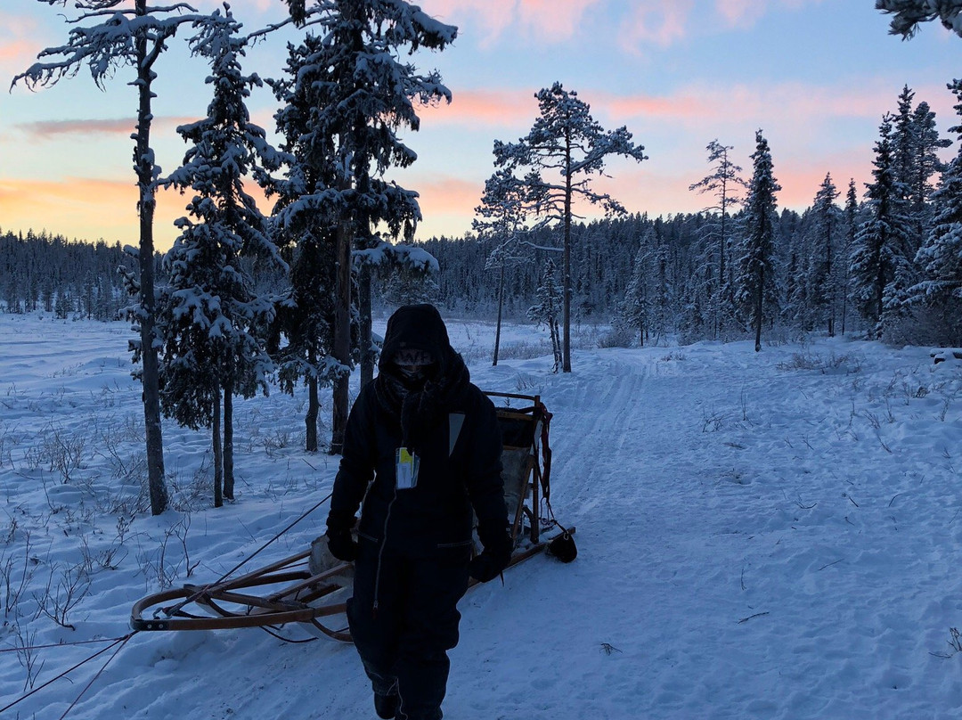 Ice Driving-Jukkasjarvi必去景点