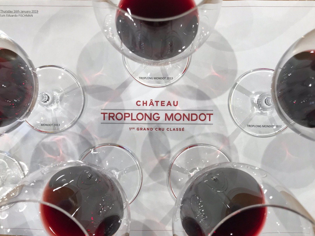 Chateau Troplong Mondot景点图片