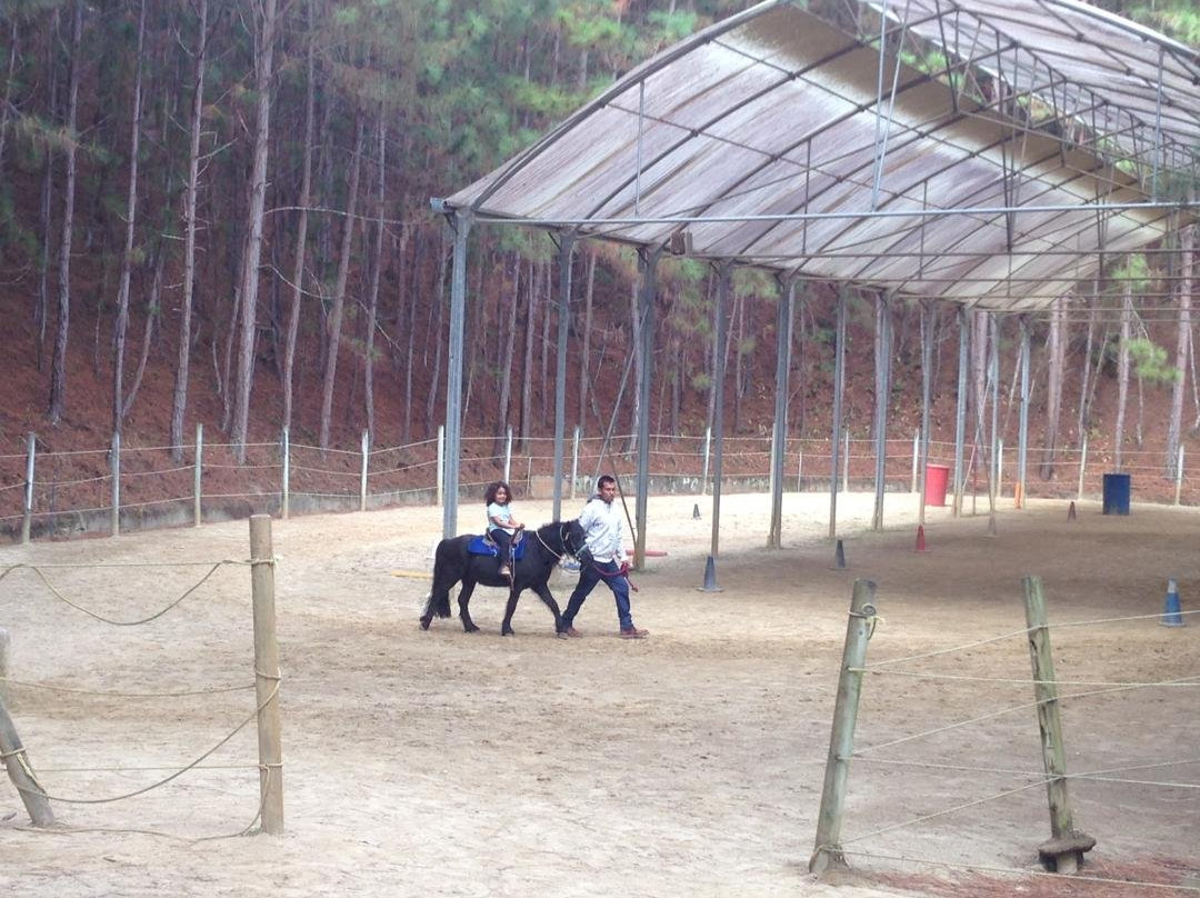 Expanzoo Expansion Centro Educativo Recreacional景点图片