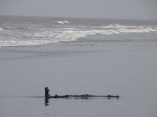 Ubharat beach-苏拉特必去景点