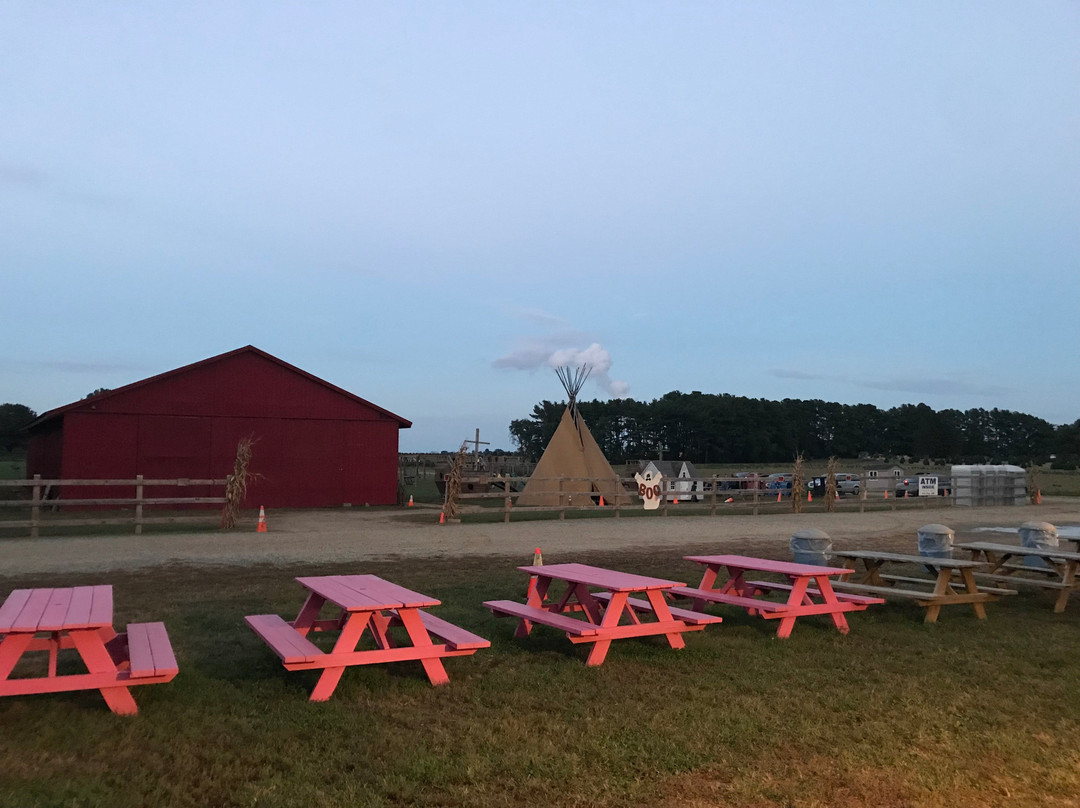 Coleman's Christmas Tree Farm-Middletown必去景点