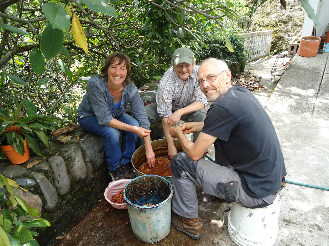 Santuario Hibiscus主图