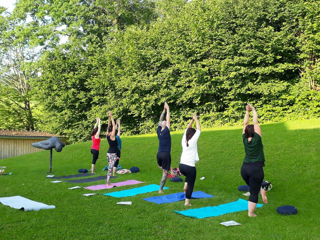 Yoga Meets You景点图片