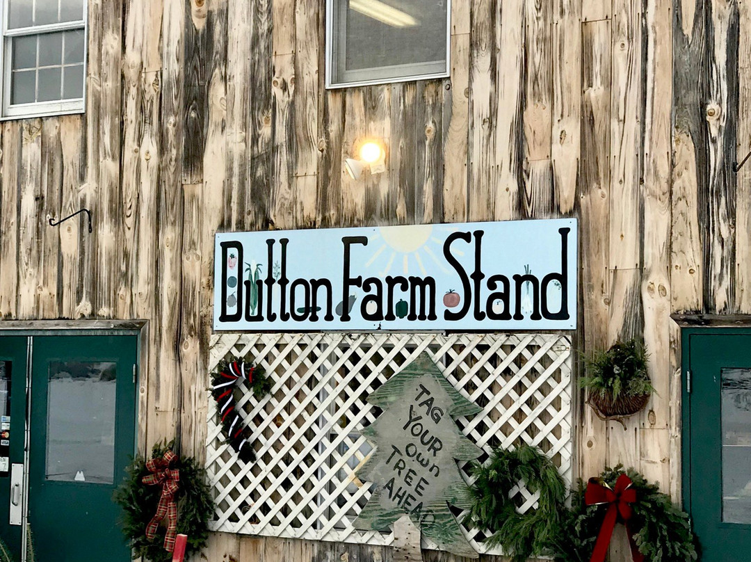Dutton Farm Stand-曼彻斯特必去景点