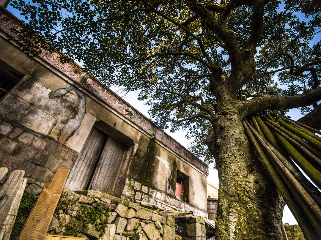 舟山虾峙岛-舟山市必去景点