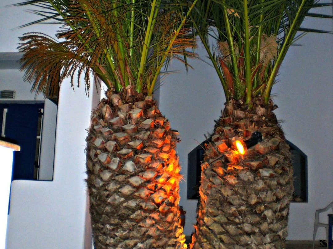 Veggera Rooms