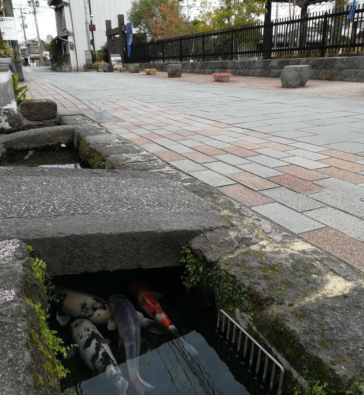 Shimabara Spring Group-岛原市必去景点