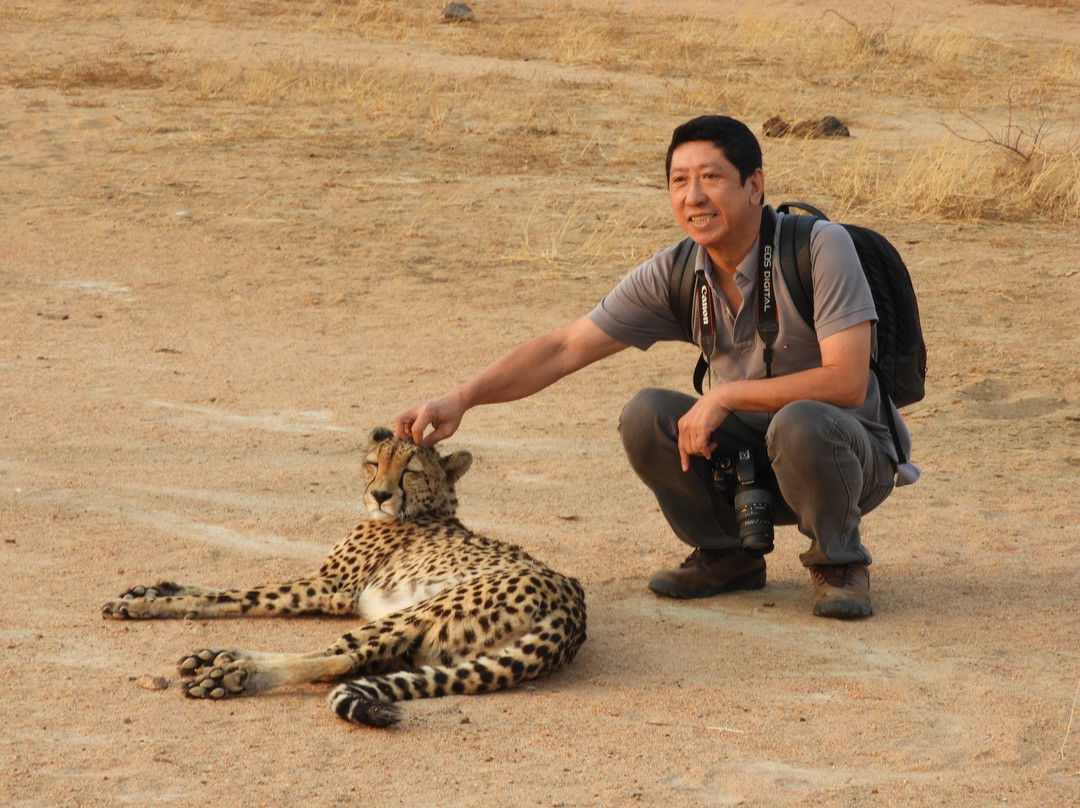 Flight of the Eagle Safaris & Tours-三图里恩必去景点
