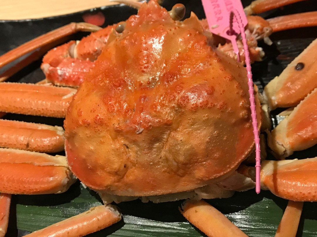 汤乐城崎温泉花园旅馆主图