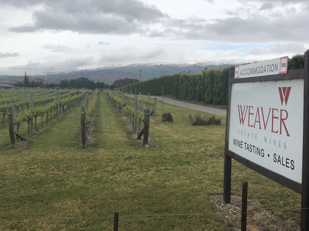 Weaver Estate Wines景点图片