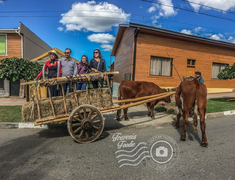 Travesia Foodie-Carahue必去景点