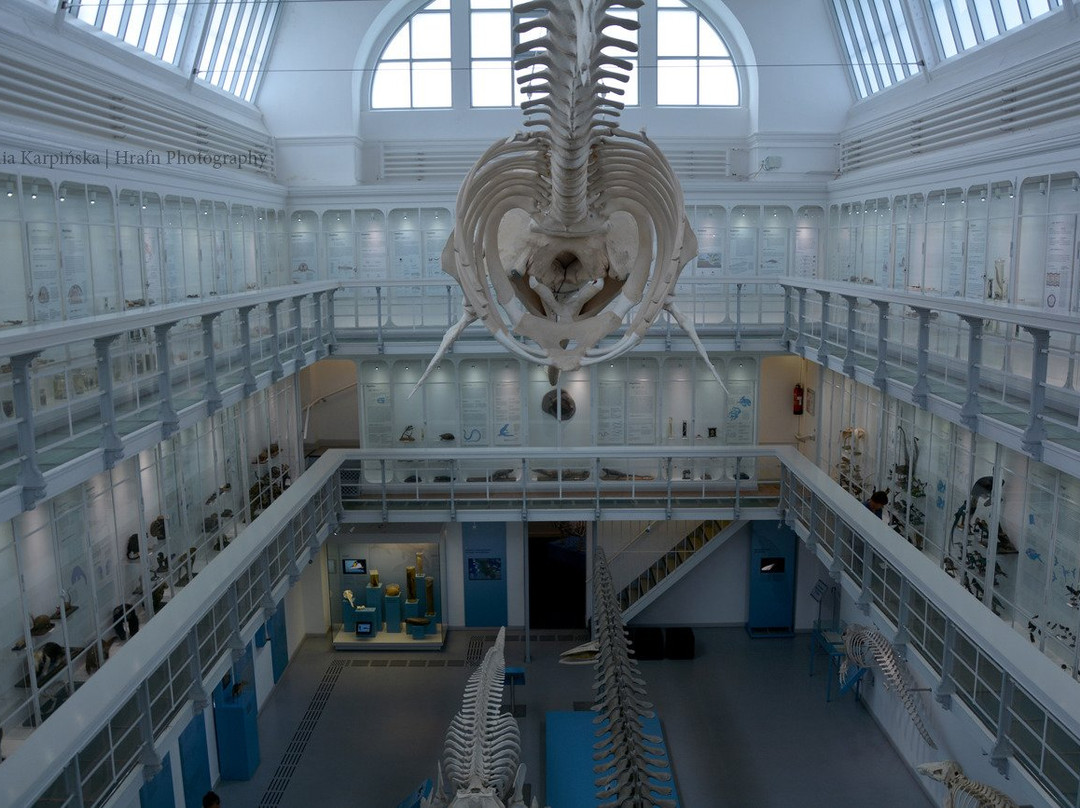 Zoologisches Museum-基尔必去景点