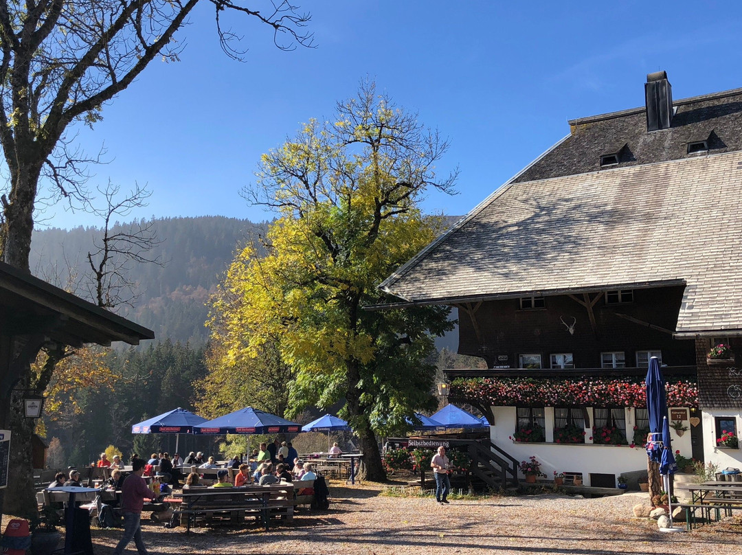 Premiumwanderweg-菲尔德山必去景点