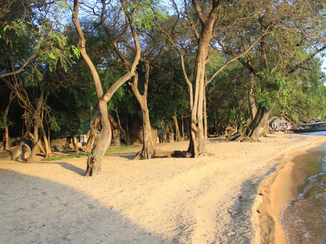 wLake Victoria-Mbita必去景点