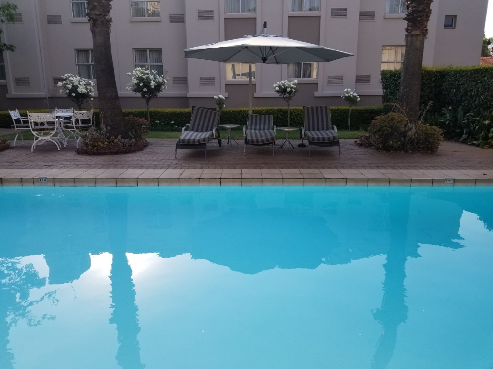 花苑晨桑顿酒店-泳池