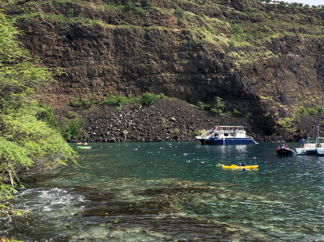 Captain Cook Snorkeling Cruises景点图片