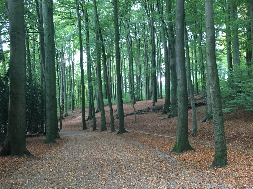 Stadtwald Bocholt景点图片
