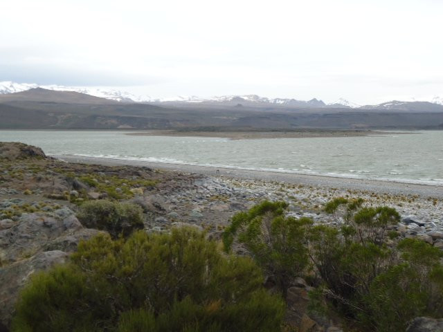 Parque Nacional Laguna Blanca景点图片