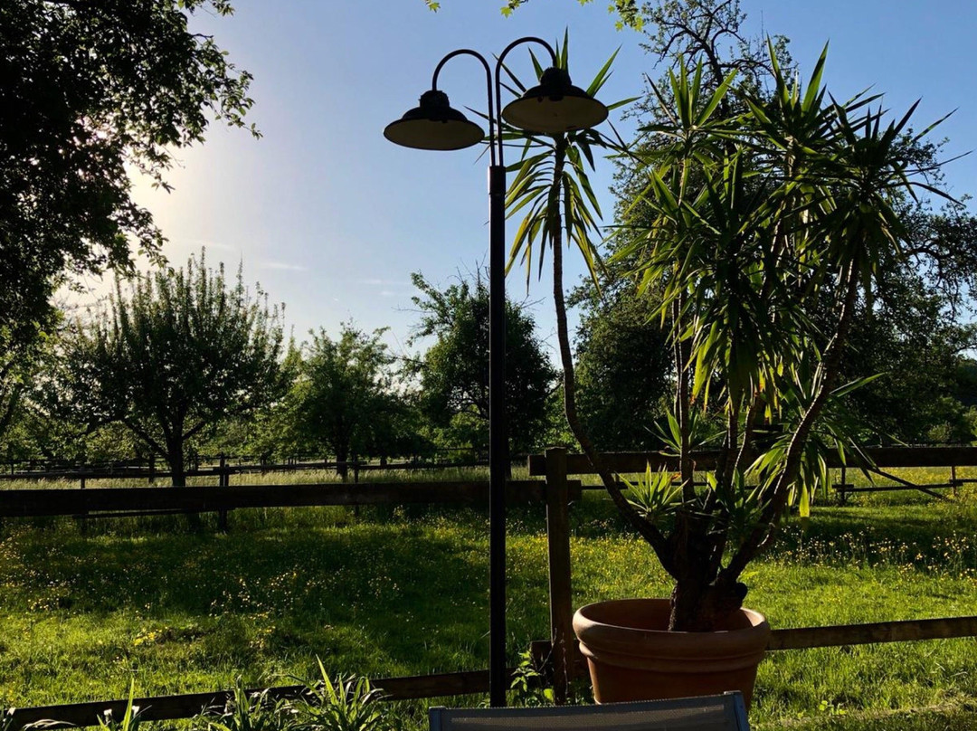 Altbach餐馆和美食-Pizzeria Reiterkasino