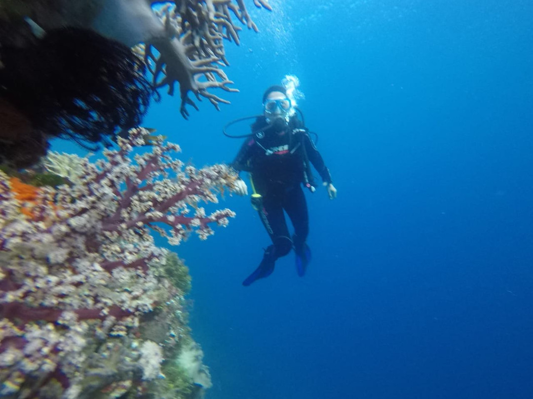 Wakatobi National Park景点图片