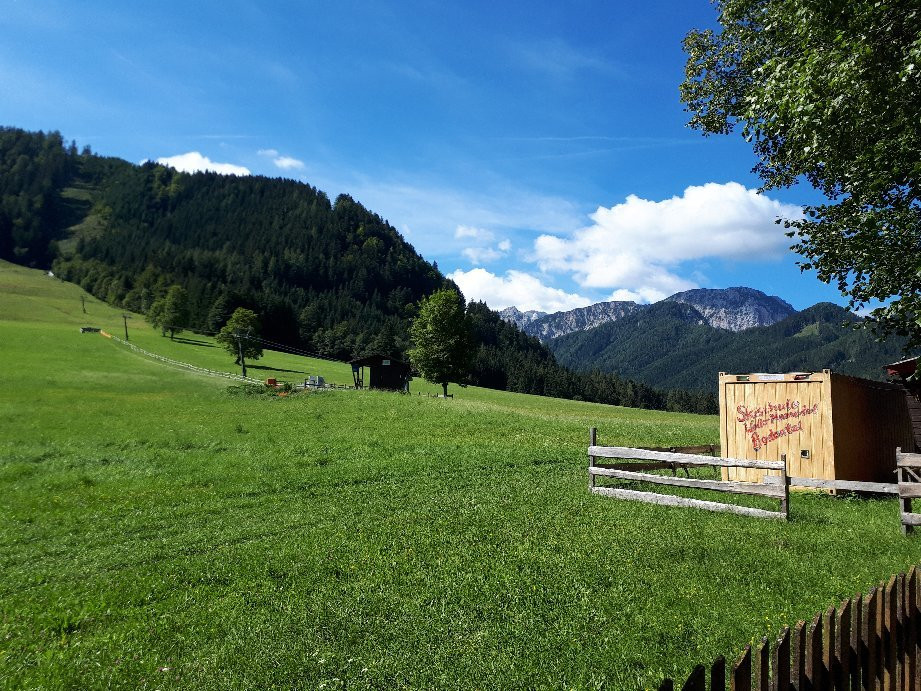Ferlach餐馆和美食-Gasthof Sereinig