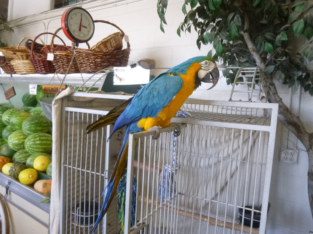 Merced Fruit Barn-默塞德必去景点