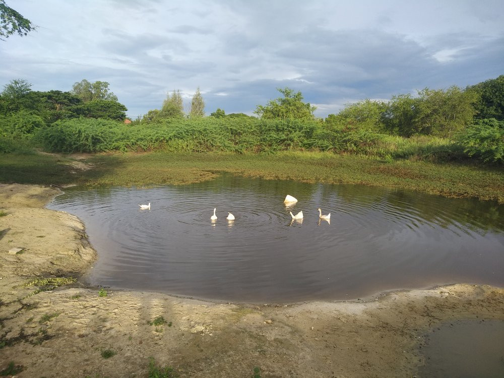 Hua Hin Horse Club-Nong Kae必去景点