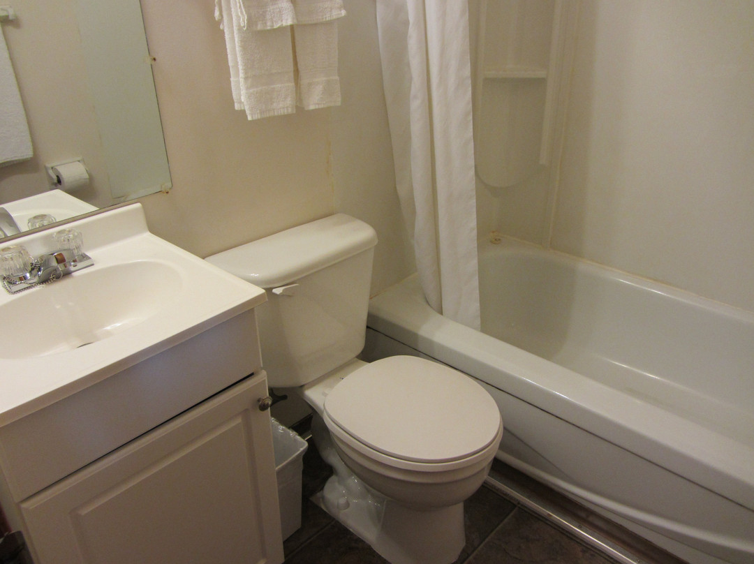 Maplewood Motel主图