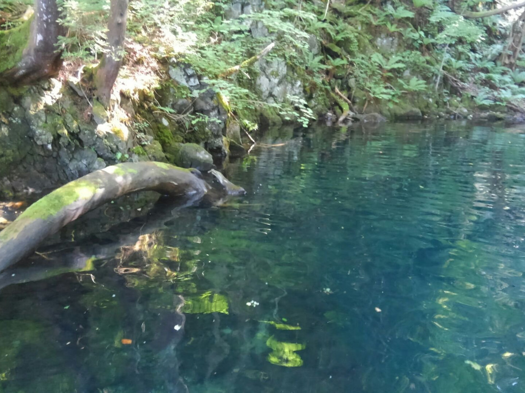 Itomuka no Irie-十和田市必去景点