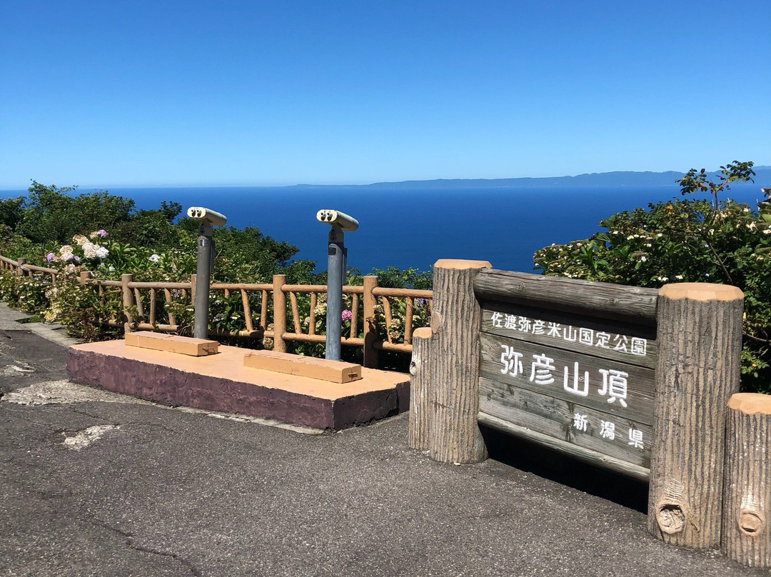 Yahikoyama Panorama Tower景点图片