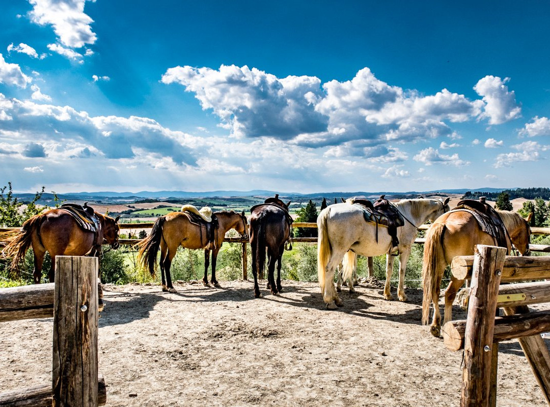 IL MISSOURI-Buonconvento必去景点