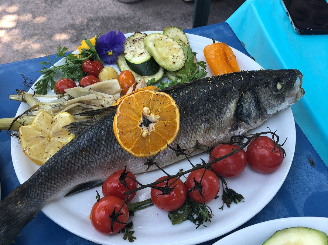 Camping Chez Antoine