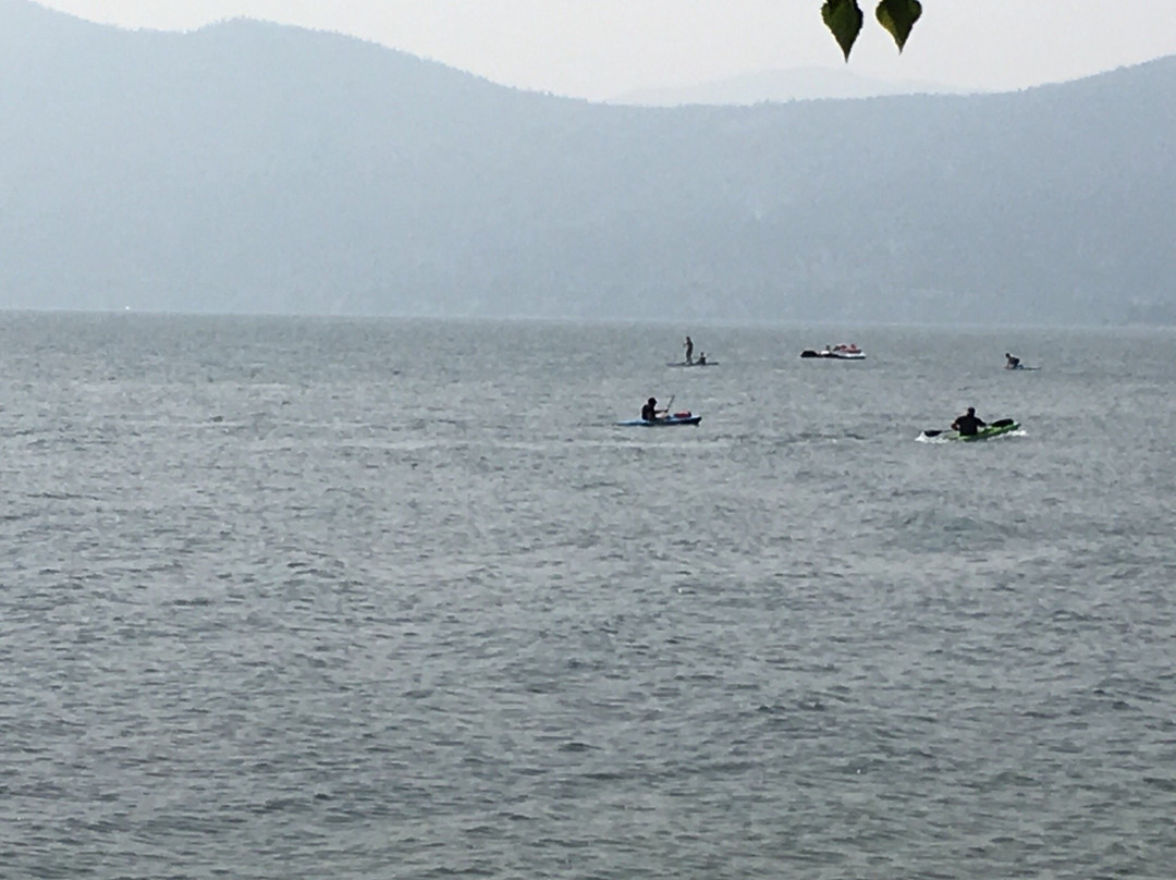Beach Ride Rental景点图片